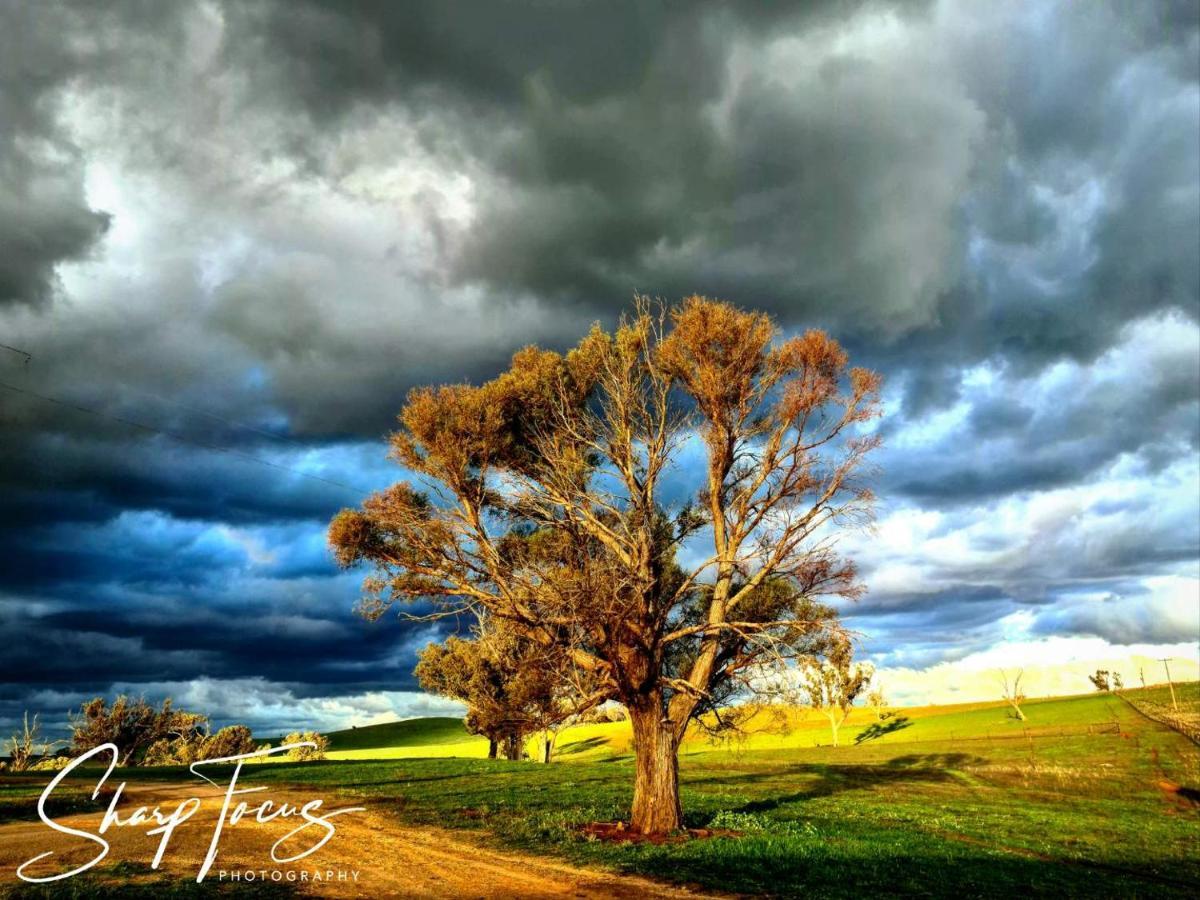 Wantana Cottage Farmstay Boorowa Exterior photo