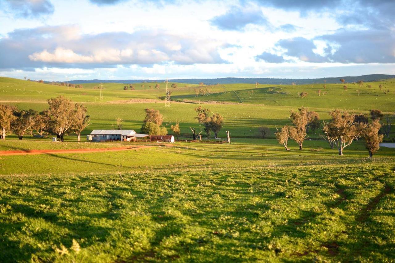 Wantana Cottage Farmstay Boorowa Exterior photo
